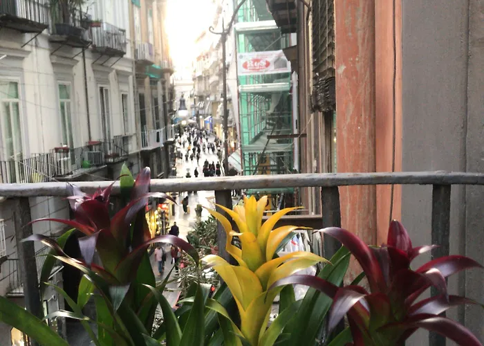 Bed & Breakfast Base Plebiscito 4*